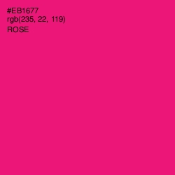 #EB1677 - Rose Color Image