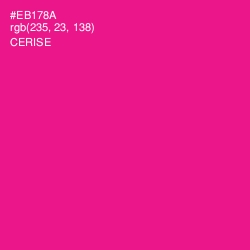 #EB178A - Cerise Color Image