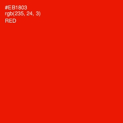 #EB1803 - Red Color Image