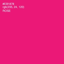 #EB1878 - Rose Color Image