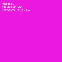 #EB18E0 - Magenta / Fuchsia Color Image