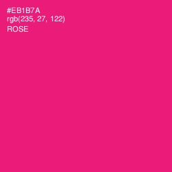 #EB1B7A - Rose Color Image