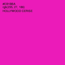 #EB1BBA - Hollywood Cerise Color Image