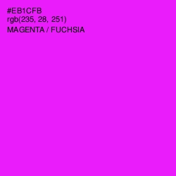 #EB1CFB - Magenta / Fuchsia Color Image
