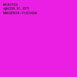 #EB1FE3 - Magenta / Fuchsia Color Image