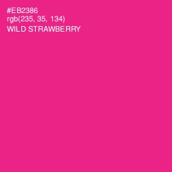 #EB2386 - Wild Strawberry Color Image