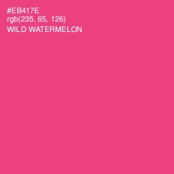 #EB417E - Wild Watermelon Color Image