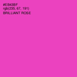 #EB43BF - Brilliant Rose Color Image