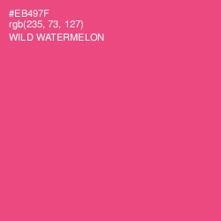 #EB497F - Wild Watermelon Color Image