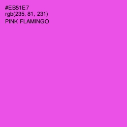 #EB51E7 - Pink Flamingo Color Image