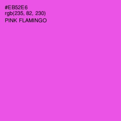 #EB52E6 - Pink Flamingo Color Image