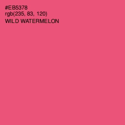 #EB5378 - Wild Watermelon Color Image