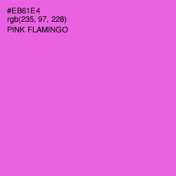 #EB61E4 - Pink Flamingo Color Image
