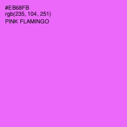 #EB68FB - Pink Flamingo Color Image