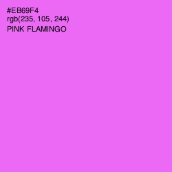 #EB69F4 - Pink Flamingo Color Image