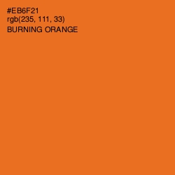 #EB6F21 - Burning Orange Color Image