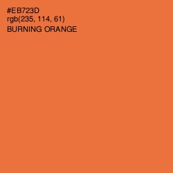 #EB723D - Burning Orange Color Image