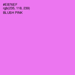 #EB76EF - Blush Pink Color Image