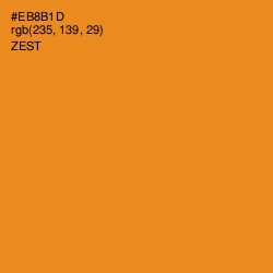 #EB8B1D - Zest Color Image