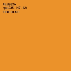 #EB932A - Fire Bush Color Image
