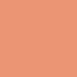#EB9574 - Apricot Color Image