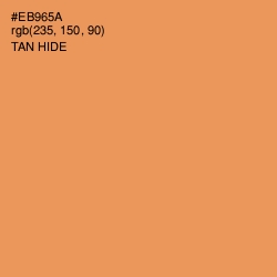 #EB965A - Tan Hide Color Image