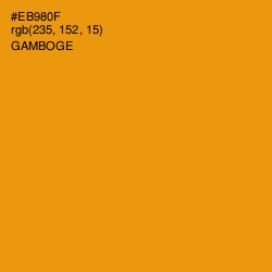 #EB980F - Gamboge Color Image