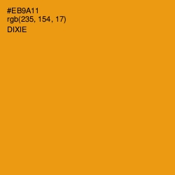 #EB9A11 - Dixie Color Image