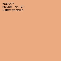 #EBAA7F - Harvest Gold Color Image