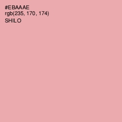 #EBAAAE - Shilo Color Image