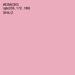 #EBACBD - Shilo Color Image