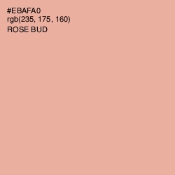 #EBAFA0 - Rose Bud Color Image
