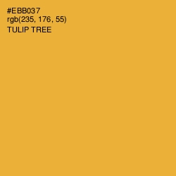 #EBB037 - Tulip Tree Color Image