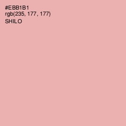 #EBB1B1 - Shilo Color Image