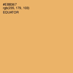 #EBB367 - Equator Color Image