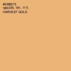 #EBB575 - Harvest Gold Color Image