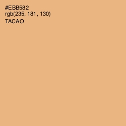 #EBB582 - Tacao Color Image