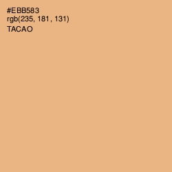 #EBB583 - Tacao Color Image
