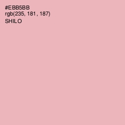 #EBB5BB - Shilo Color Image