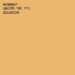 #EBB66F - Equator Color Image