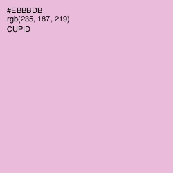 #EBBBDB - Cupid Color Image