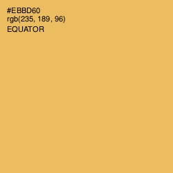 #EBBD60 - Equator Color Image