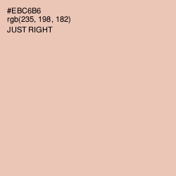 #EBC6B6 - Just Right Color Image