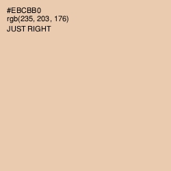 #EBCBB0 - Just Right Color Image
