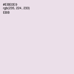 #EBE0E9 - Ebb Color Image