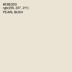 #EBE3D3 - Pearl Bush Color Image