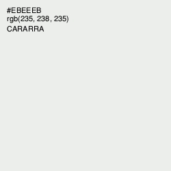 #EBEEEB - Cararra Color Image