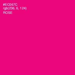 #EC067C - Rose Color Image