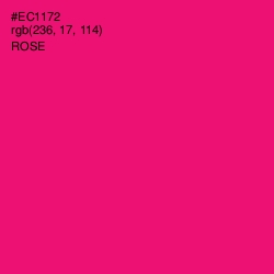 #EC1172 - Rose Color Image