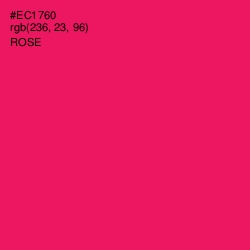 #EC1760 - Rose Color Image